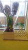 IMG-20210308-WA0008