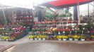 IMG-20210331-WA0006