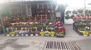 IMG-20210331-WA0007