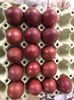Ouă din păsări Marans culese în Aprilie 2021