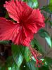 IMG-20210421-WA0000
