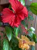 IMG-20210421-WA0007