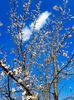 PSX_20210421_200636