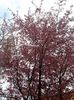 PSX_20210424_231854