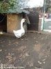 IMG-20201010-WA0016