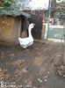 IMG-20201010-WA0018