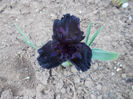 dark matter