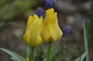 _DSC0334