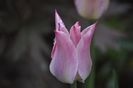 _DSC0418