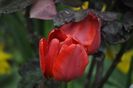 _DSC0477