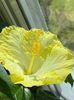 IMG-20210504-WA0004