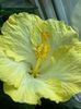 IMG-20210504-WA0001