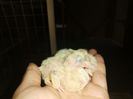 IMG-20210507-WA0003