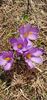 IMG-20210503-WA0065