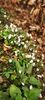 IMG-20210503-WA0034