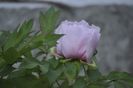 _DSC0070