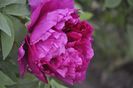_DSC0057