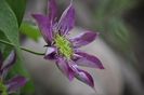 _DSC0003