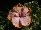 P1470746