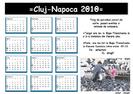 Calendar targ 2010 Cluj-Napoca