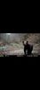 IMG-20210519-WA0014