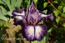 AddText_05-22-12.20.25