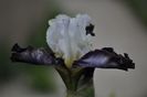 _DSC0150