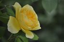 _DSC0094