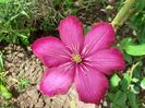 IMG-20210524-WA0037