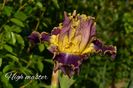 AddText_05-24-08.53.17