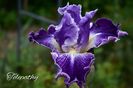 AddText_05-24-08.50.55