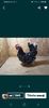 Screenshot_20210209-195809_OLXro