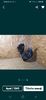 Screenshot_20210209-195804_OLXro