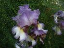 P1480242