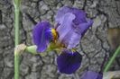 _DSC0187