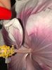 C281E904-2427-487C-8357-1EF49C35EEAD