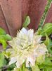 18081D89-BB12-459A-9873-B3684F371421