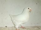 IMG-20210530-WA0010