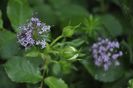 _DSC0380