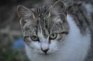 _DSC0532