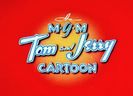 Tom si Jerry