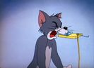 Tom si Jerry