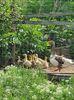 IMG-20210517-WA0002