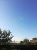 IMG-20210531-WA0000