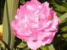 P1380028