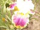 P1380153