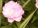 P1380221