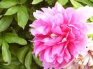 P1380337