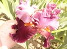 P1380489
