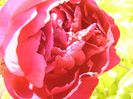 P1380597